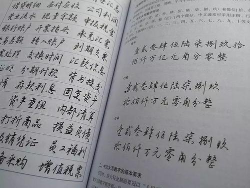 成人实用行楷练字视频,跟随实用行楷练字视频，轻松掌握书法艺术