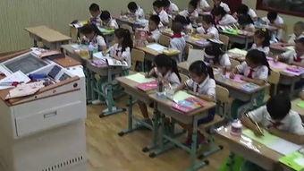 成人课堂视频教学,互动学习新篇章